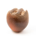 Vase Damon – Frêne Naturel
